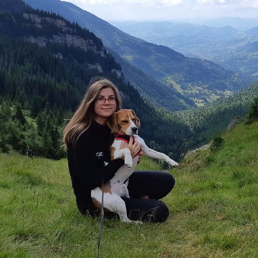 Person sitting on grassy hillside with dog, overlooking mountains and valleys.